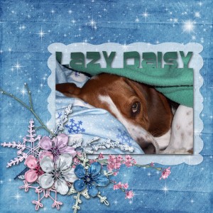 lazy_daisy