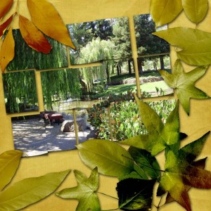 multiple-photo-split-linda