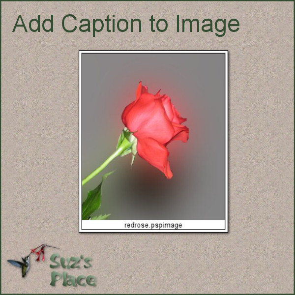 Add Caption to Image - Click Image to Close