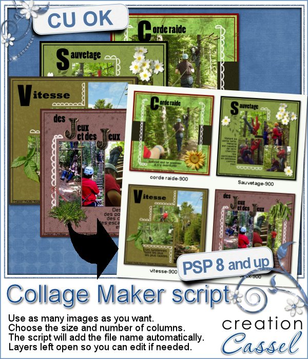 Collage Maker - PSP Script - Click Image to Close