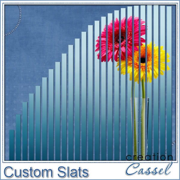 Custom Slats - PSP Script - Click Image to Close