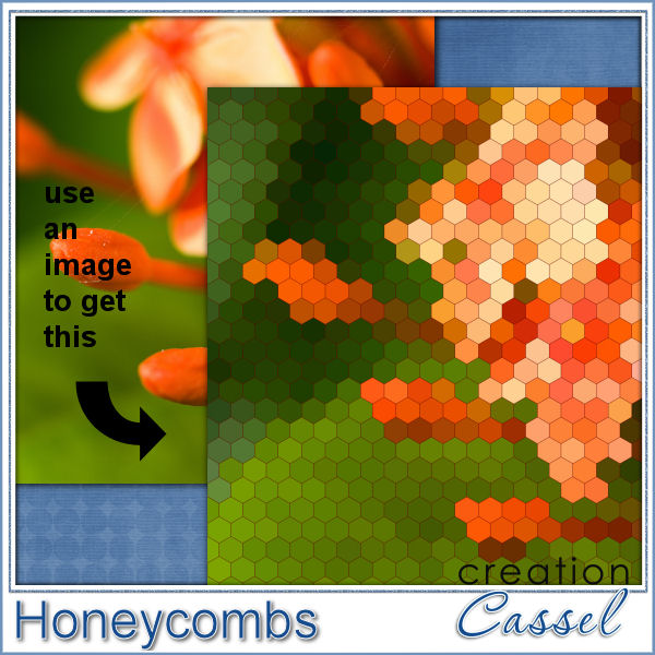 Honeycombs - PSP Script - Click Image to Close