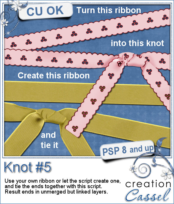 Knot #5 - PSP script - Click Image to Close