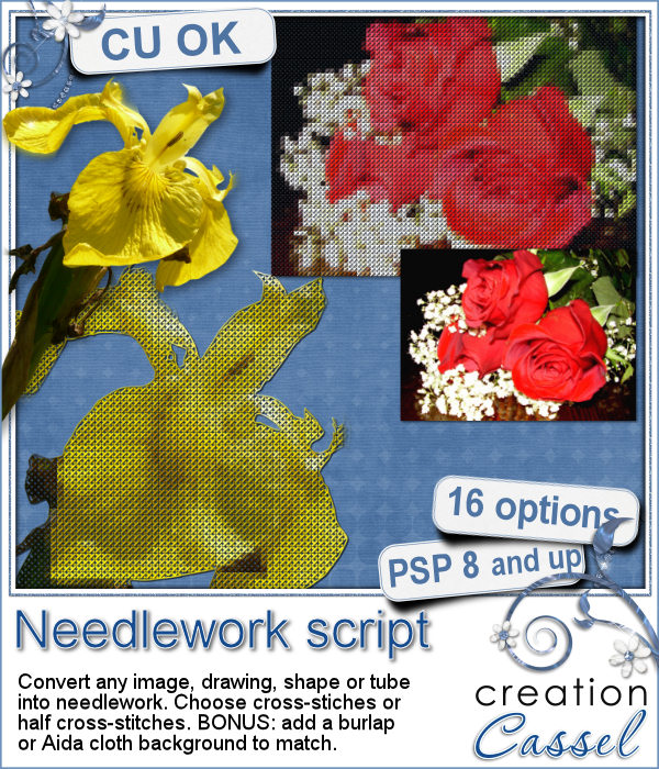 Needlework - PSP script - Click Image to Close