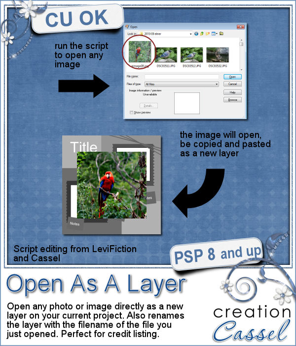 Open As A Layer - PSP Script - Click Image to Close