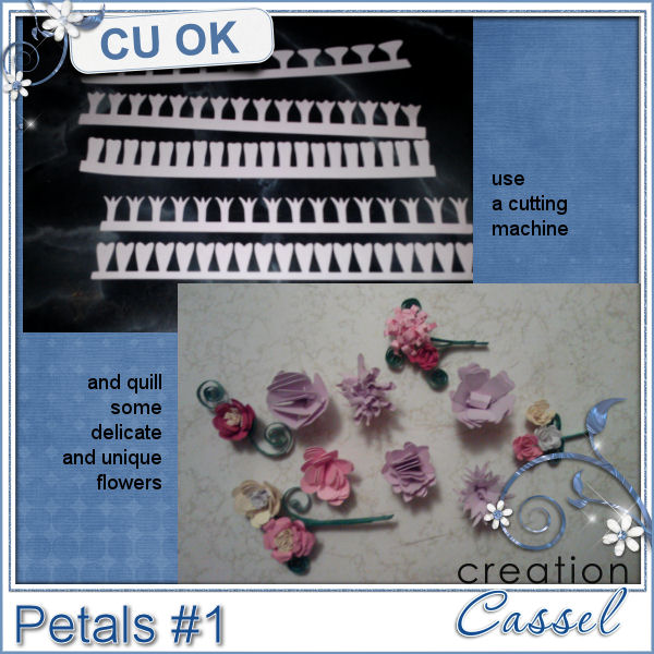 Petals #1 - Font - Click Image to Close