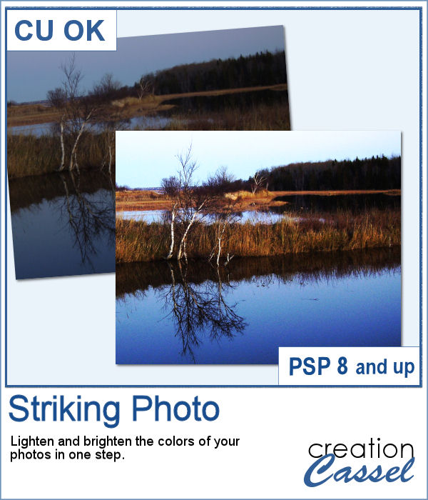Striking Photo - PSP Script - Click Image to Close