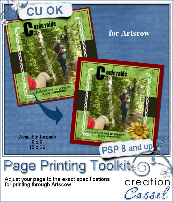 Book printing toolkit - Artscow - PSP Script
