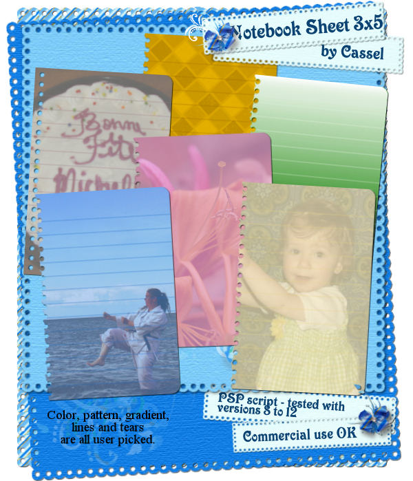 Notebook sheet 3x5 - PSP script