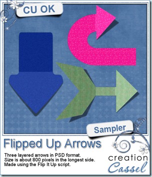 cass-FlipItUp-Arrows