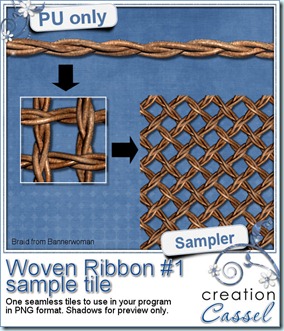 cass-WovenRibbon1-sampleNL1
