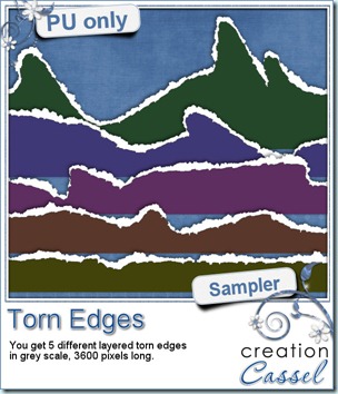 cass-TornEdge-Samplers