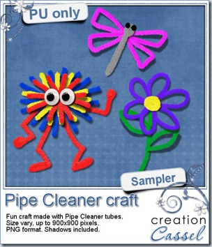 cass-PipeCleaner-sample