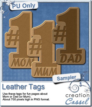cass-LeatherTag-samples