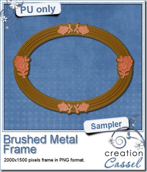 cass-BrushedMetal2-sample-frame