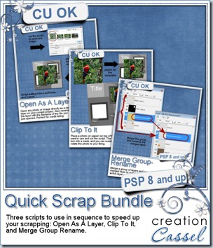 cass-QuickScrapBundle