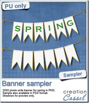 cass-Banner-sample-Spring