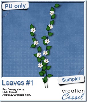 cass-Leaves1-sample