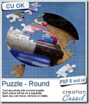 cass-Puzzle-Round