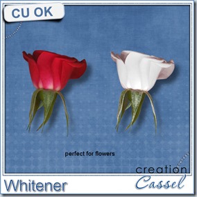 cass-Whitener1