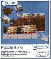 cass-puzzle4x6