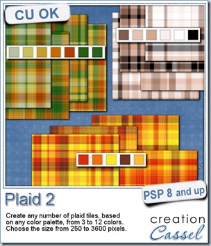 cass-Plaid2