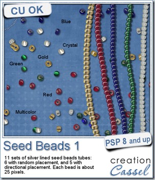 cass-SeedBeads1-SilverLined