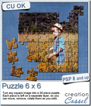 cass-Puzzle6x6