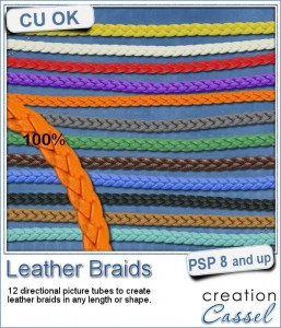 Leather Braid picture tubes for Paintshop Pro