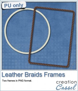 Leather Braid Frames in PNG format for free