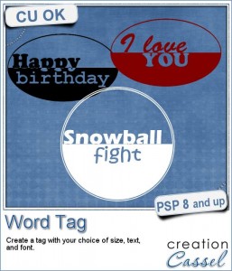 Word tag script for Paintshop Pro