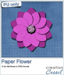 cass-PaperFlower-Sample-Pink