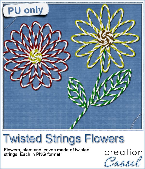 cass-TwistedStrings-Flowers