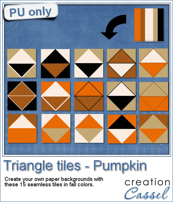 cass-triangles-pumpkin