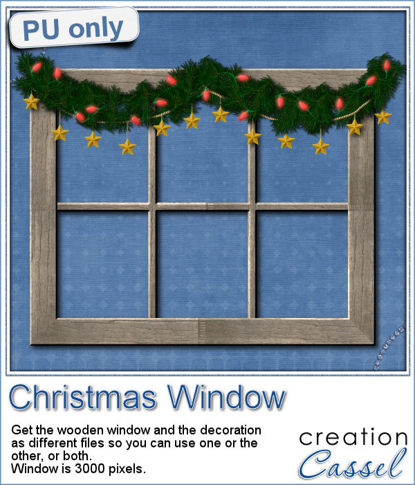 cass-christmasstring-window