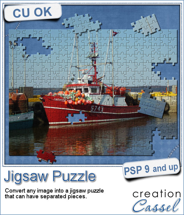 Jigsaw puzzle script for Paintshop Pro