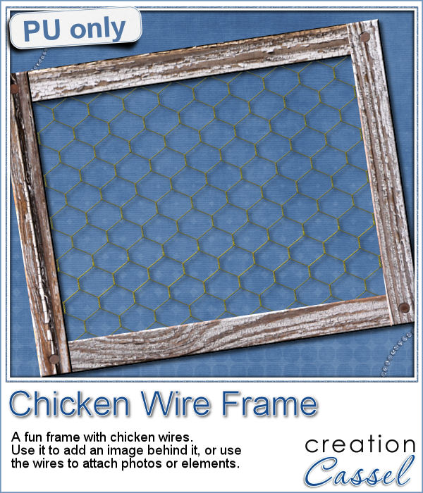 Chicken wire frame