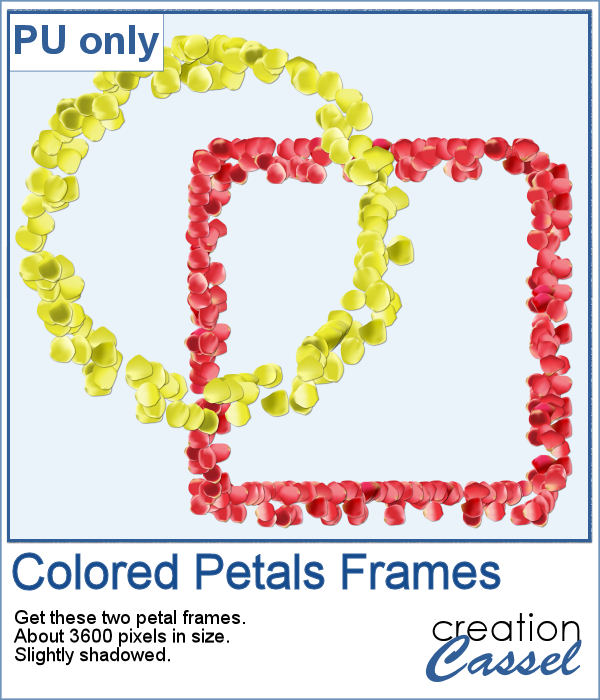 Colored petal frames in PNG format