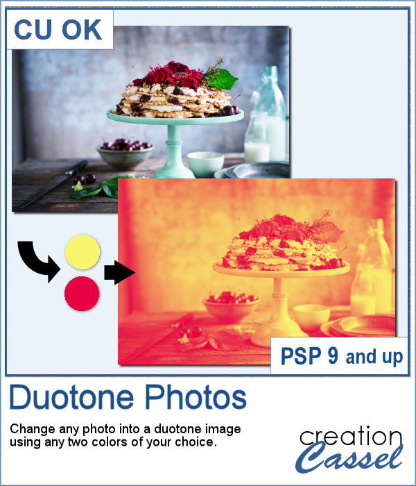 Duotone script for Paintshop Pro