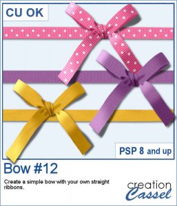 Bow script for Paintshop Pro