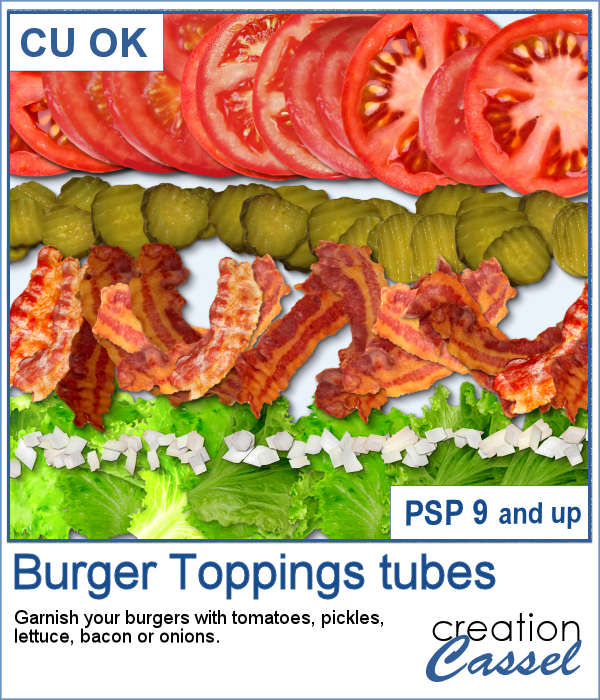 Burger Toppings tubes for Paintshop Pro