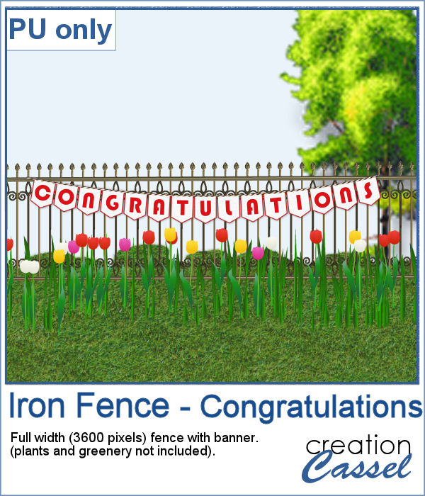 Iron fence with congratulations in png format