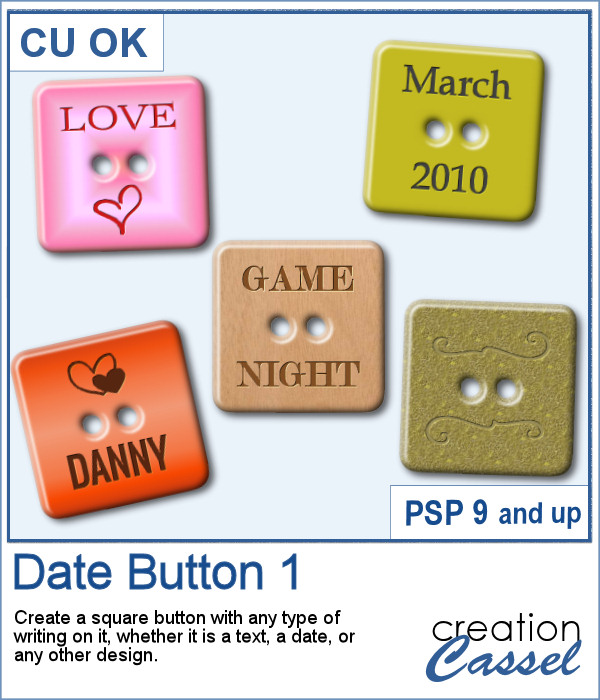 Date button script for PaintShop Pro