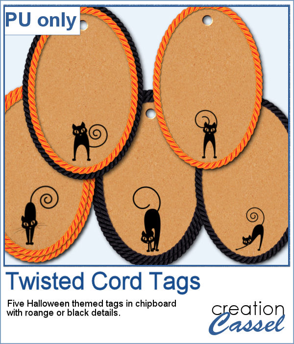 Halloween tags with black cats