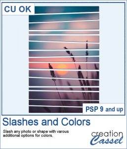 Slashes script for PaintShop Pro