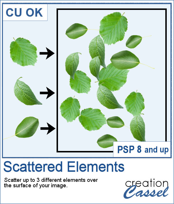 Scatter elements with a script for PaintShop Pro