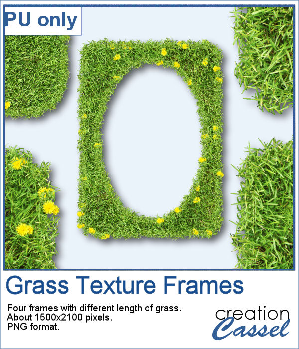 Grass with dandelions frames in PNG format