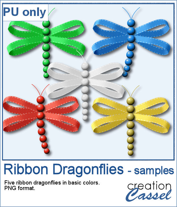 Ribbon dragonflies in PNG format