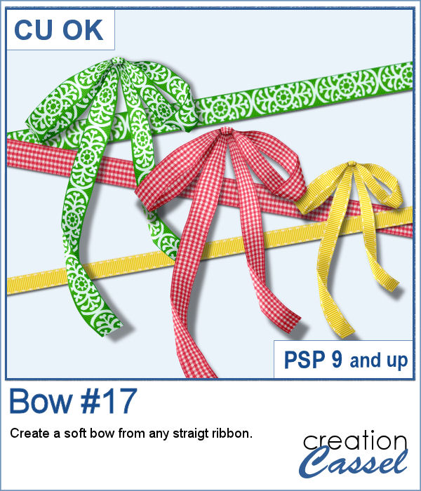 Bow script for PaintShop Pro