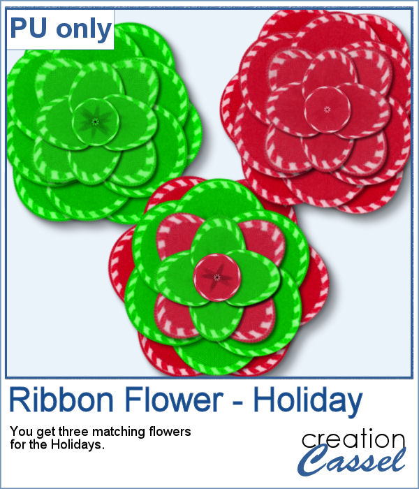 Ribbon Flower in png format